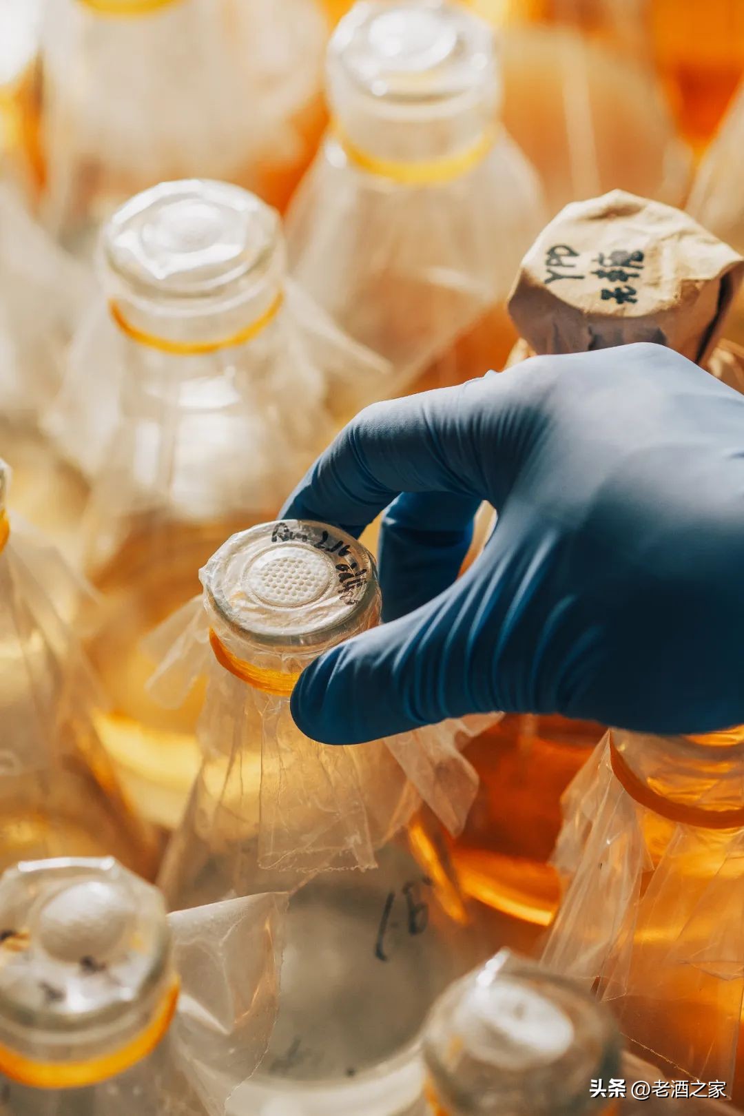 在茅台酒厂上班是什么体验,茅台酒厂上班工资多少