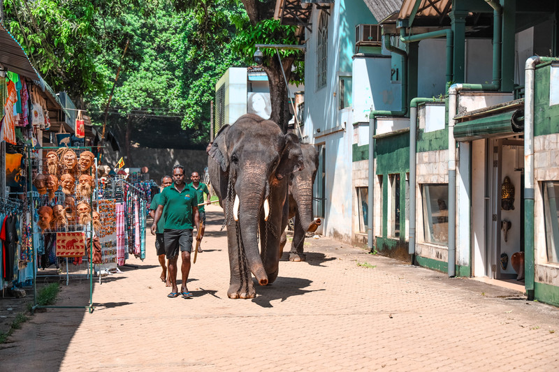 斯里兰卡旅游攻略必去景点,斯里兰卡最佳旅游攻略