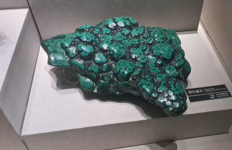 郑州室内旅游攻略必去景点,郑州景点室内游玩攻略