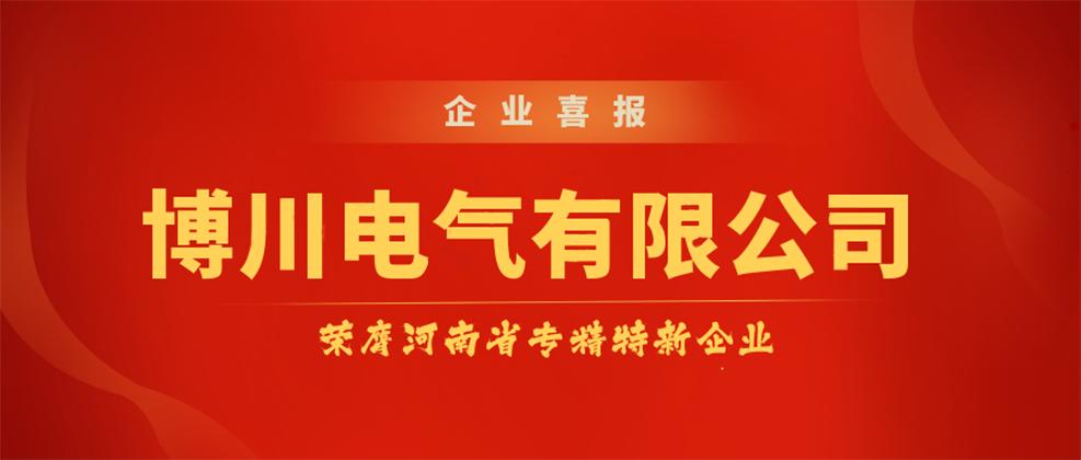 博川电气股份有限公司,博川电气有限公司四川分公司