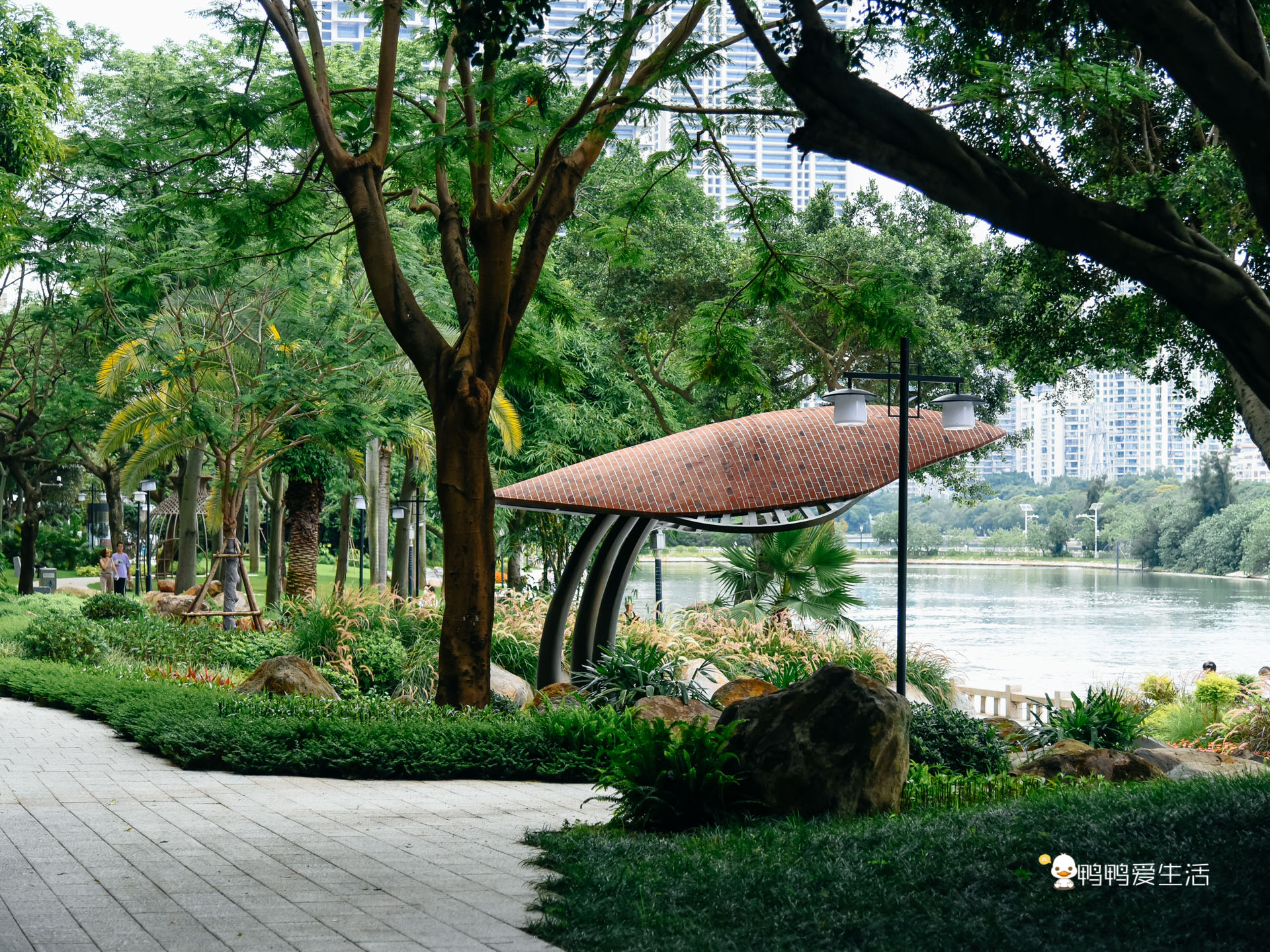 老厦门人都知道的四里建兴，开业近40年，红花蟹还能一蟹六吃