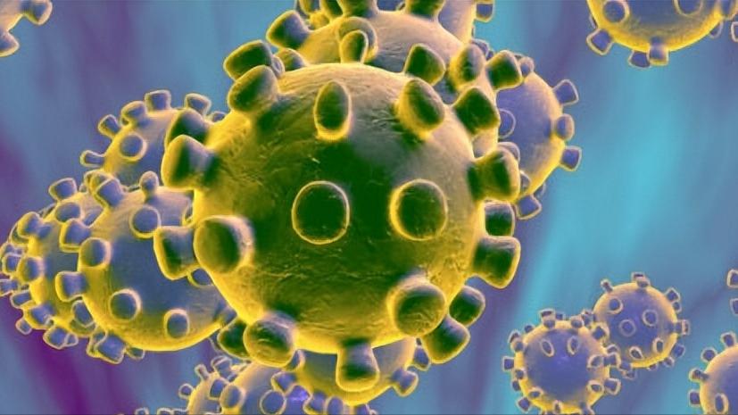 全球几款新冠口服药物疗效、安全性、价格如何？解答来了！