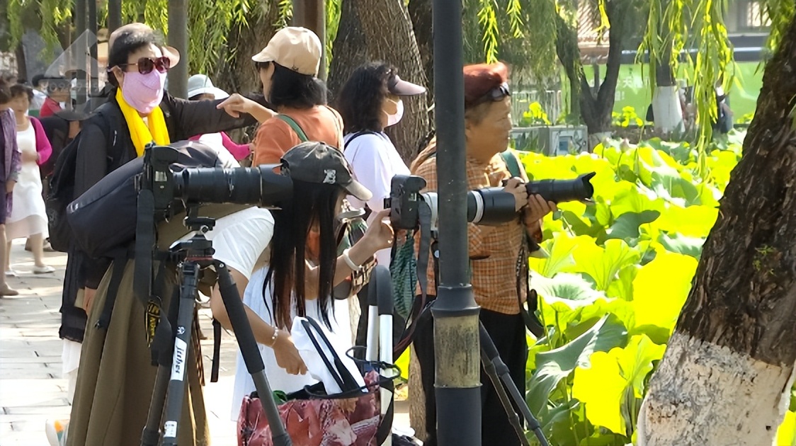 云南昆明热门的夏天避暑活动合集,昆明热门的夏天避暑位置