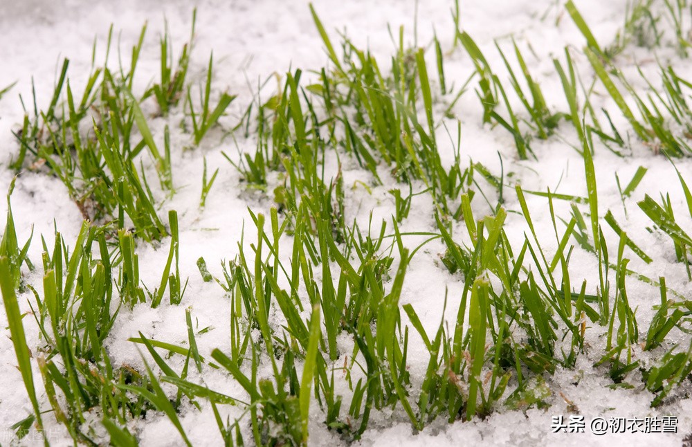 李白的哪首古诗最撩人,李白思乡的诗句经典