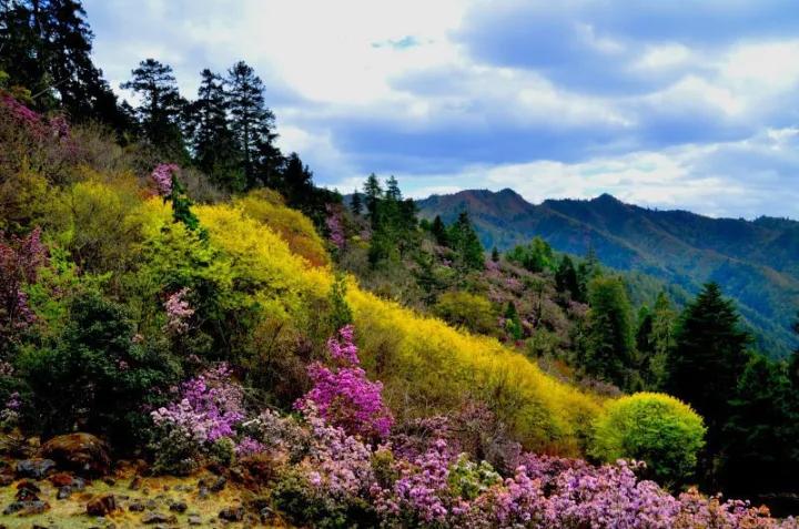 云南旅游全攻略自由行详细路程,自由行云南旅游攻略路线详细