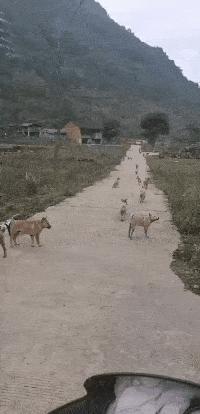 女主管换了新电脑，她把旧的送给了我，我抬回家打开影库