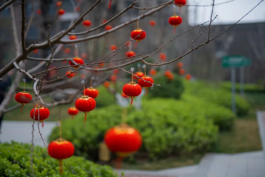 荣盛发展邯郸公司战疫记