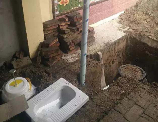 我国拉的大便去哪了？大便中的吲哚浓度越高越臭，或稀释后有香味