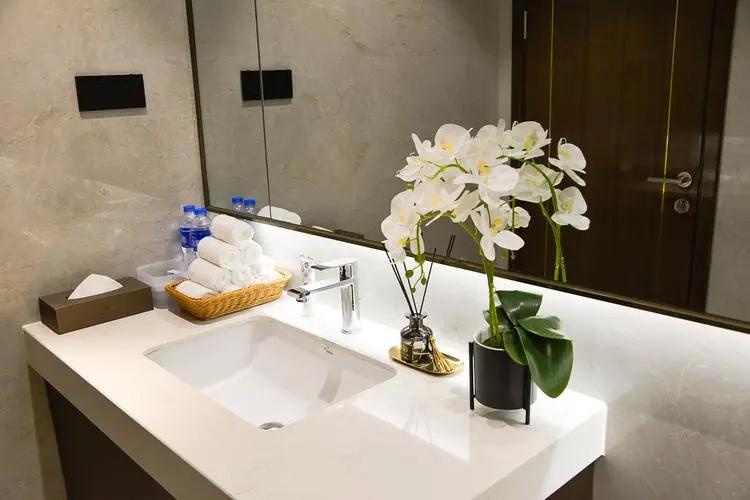 卫生间香花草,卫生间除臭植物花