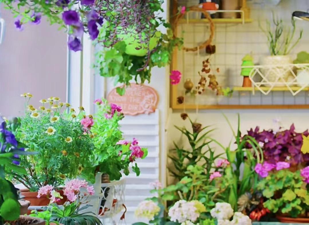 养花什么花是喜酸的,喜酸的花怎么养