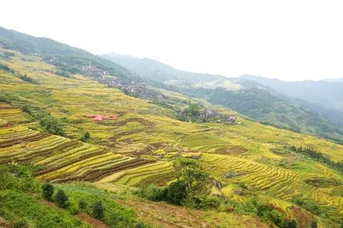 龙胜民俗文化,广西龙胜民俗旅游