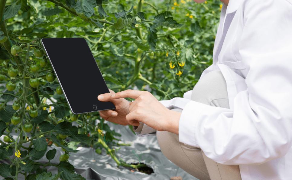 武汉小哥1年花2580种菜，5G远程浇水施肥，手机摘菜4小时快递到家