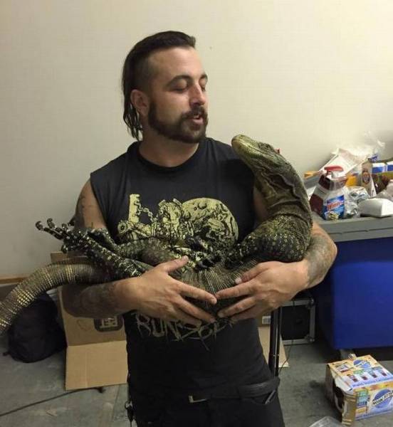 世界上最壮的牛照片,世界最壮的牛图片