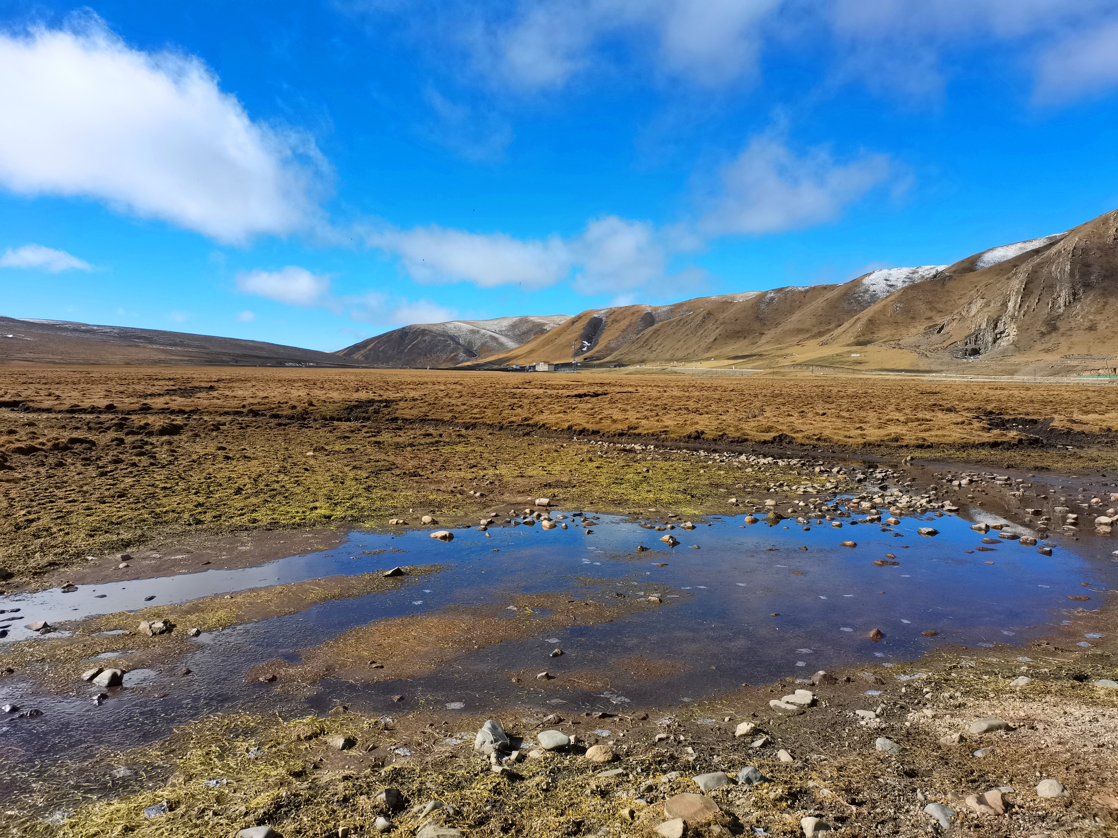 甘南自驾游洛克之路的绮丽风景,四川省甘南旅游景点自驾游推荐
