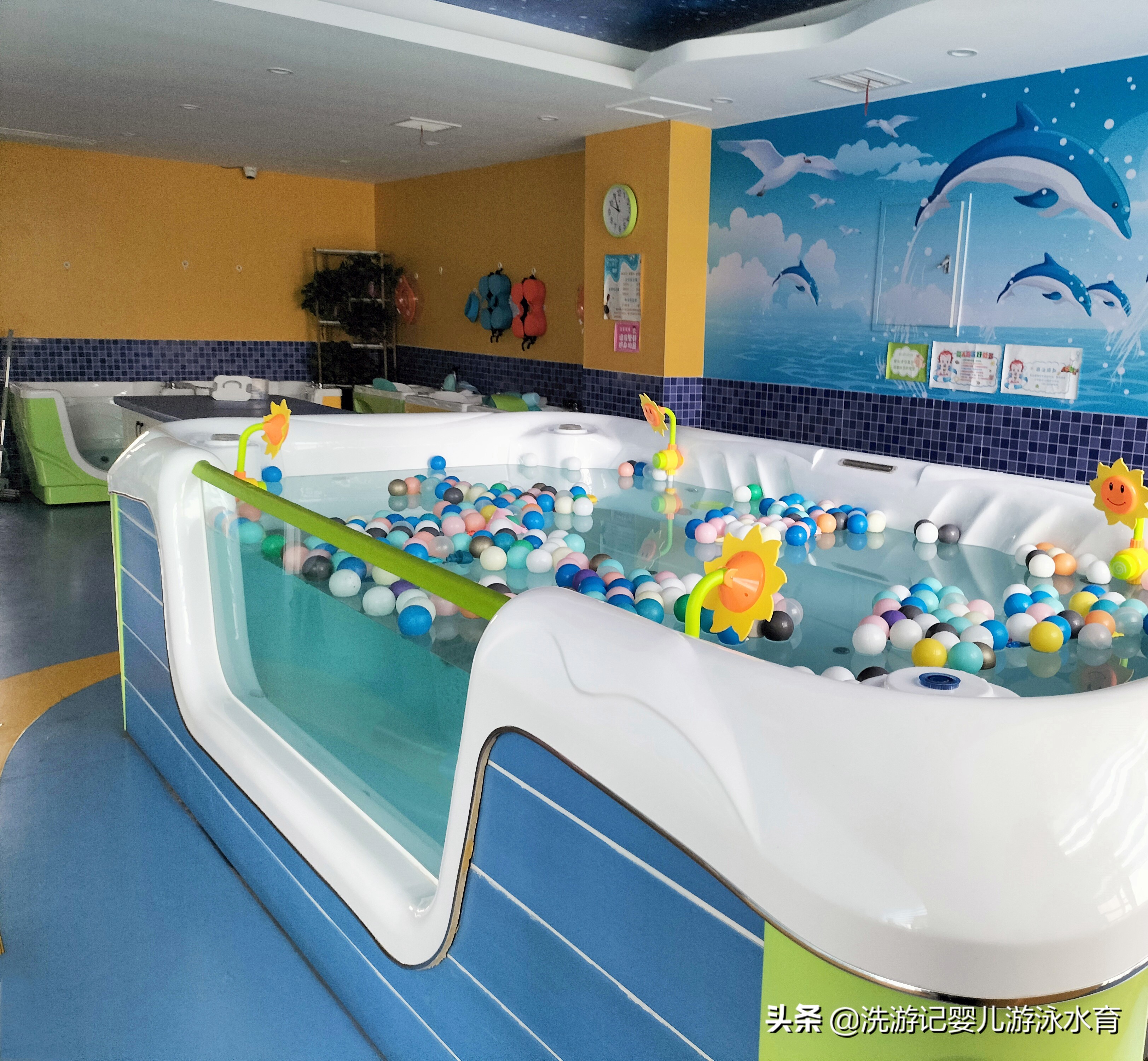 母婴游泳馆加盟好还是自己开好,婴儿游泳馆加盟创业项目
