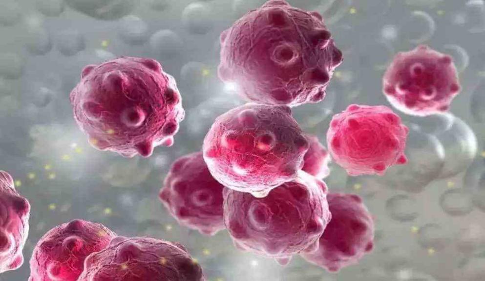 脖子上长个小肉揪怎么弄掉,脖子上长了一个小肉粒被揪下来