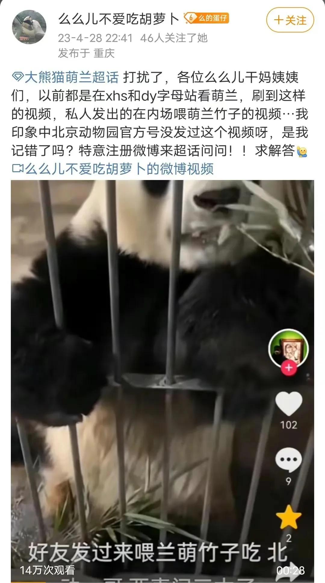 大熊猫萌兰内场违规被爆？