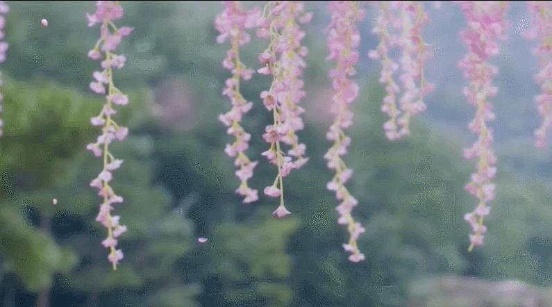 所有遇见皆是天意完整版,所有遇见皆是天意歌曲