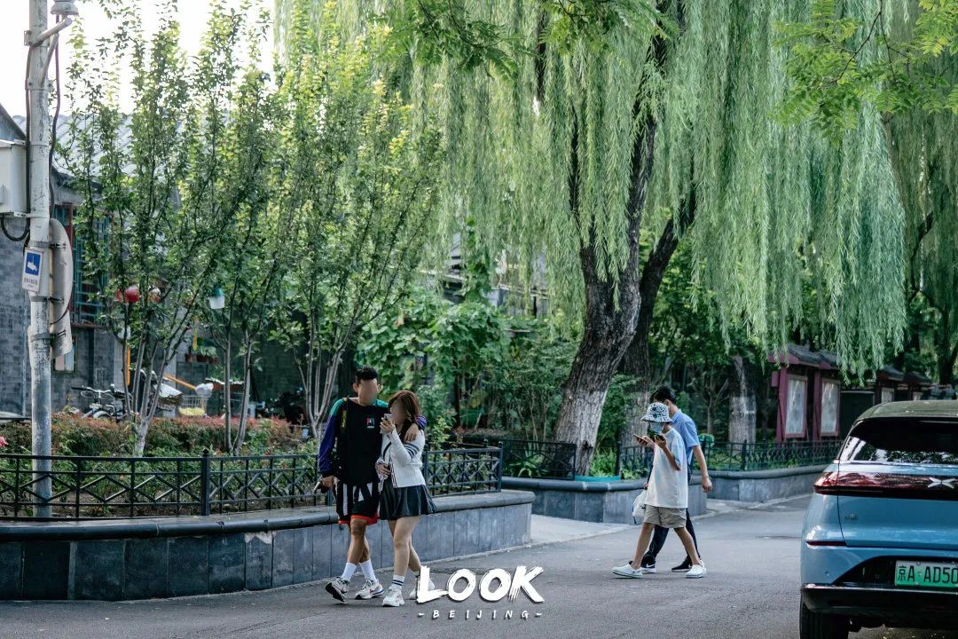 北京什刹海晚上游玩路线,北京什刹海风景秋天攻略