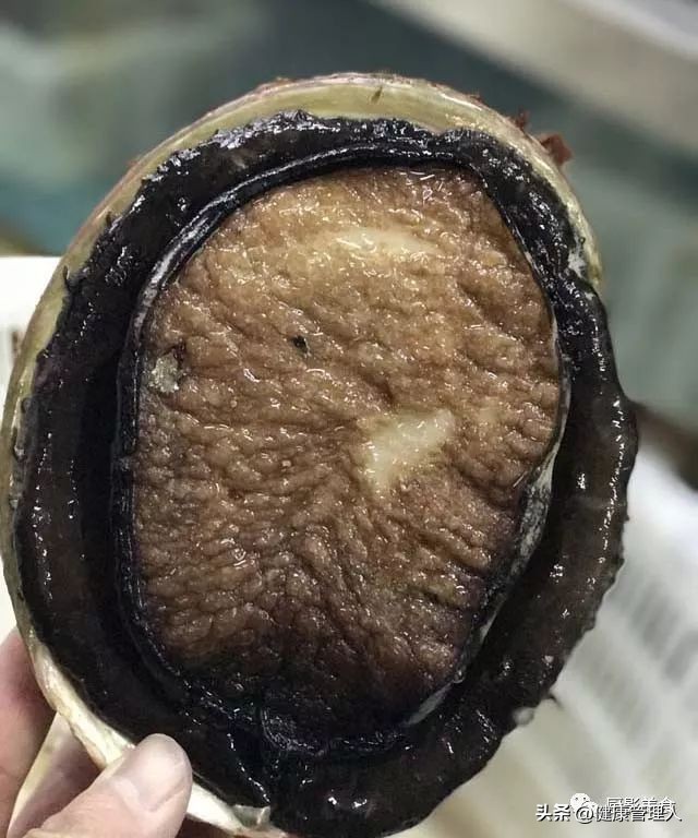 海鲜贝类品种大全及名字,22种海鲜贝类做法大全