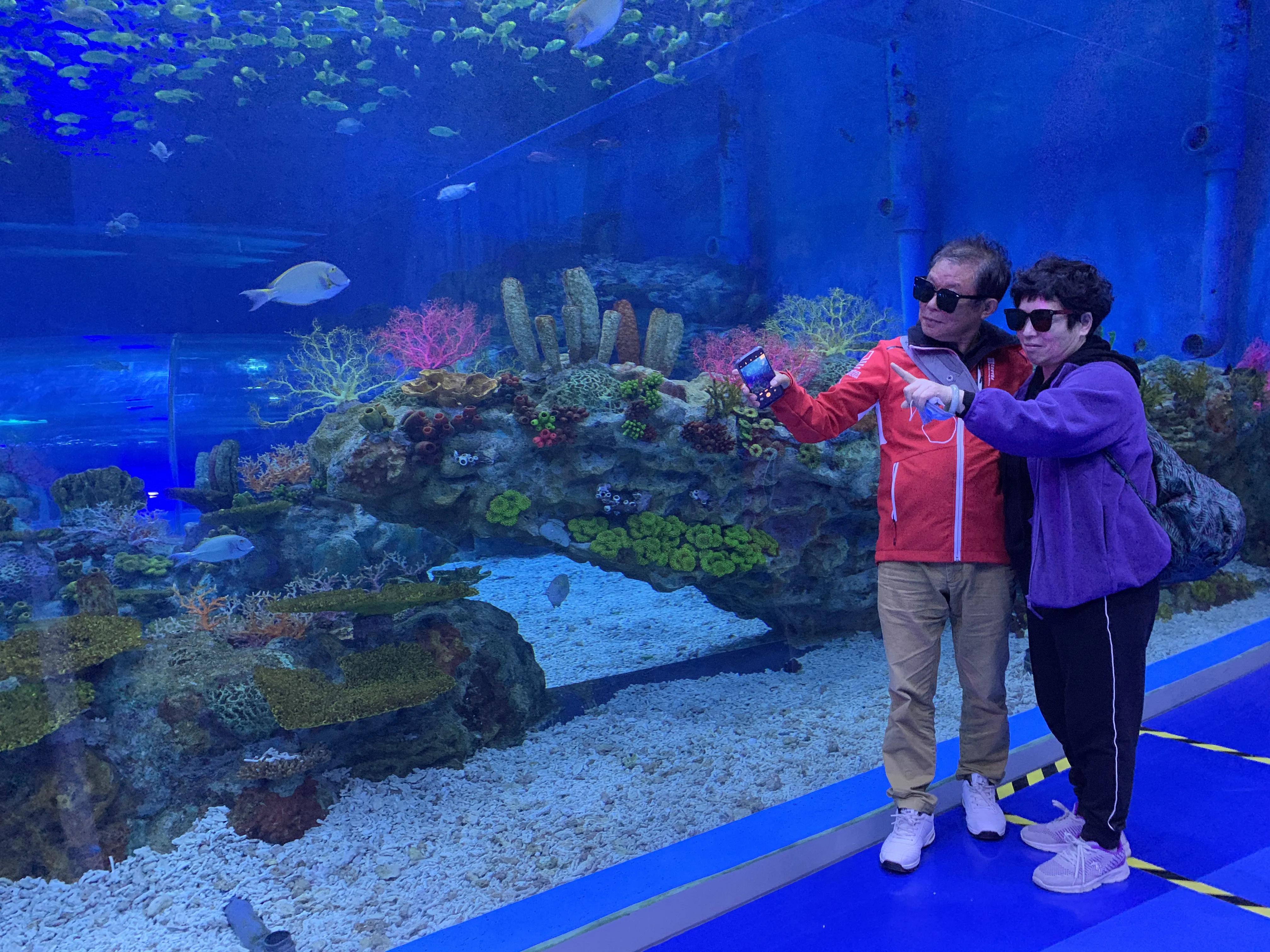 上海海昌海洋公园一日游vlog,上海海昌海洋公园一日游攻略虎鲸