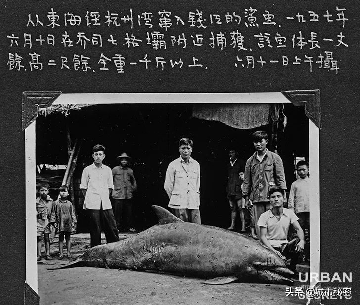 艮山门在拱宸桥北面,杭州艮山门水果市场简介