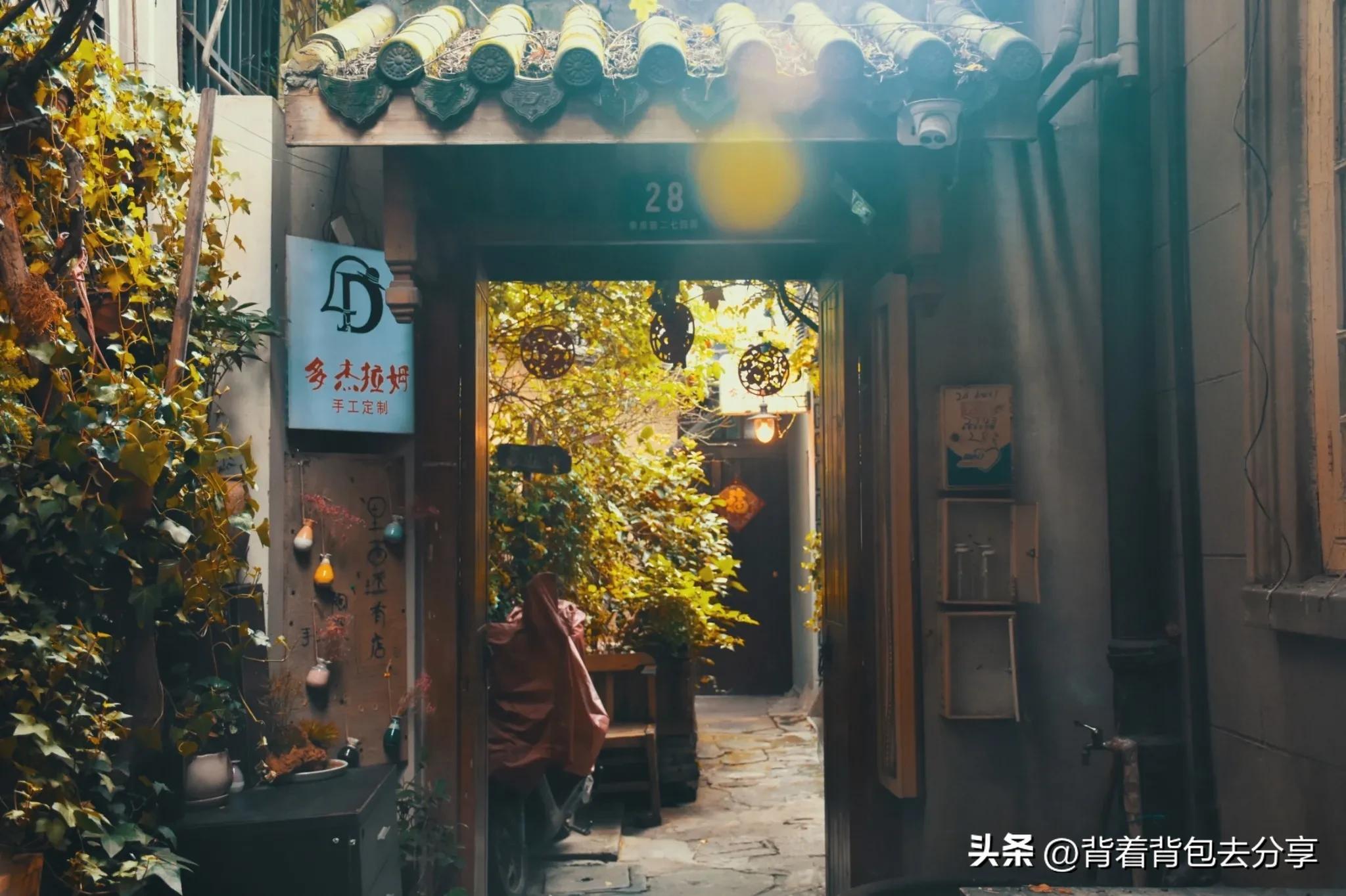 上海最好玩的免费景区推荐一下,上海的十大免费景区介绍