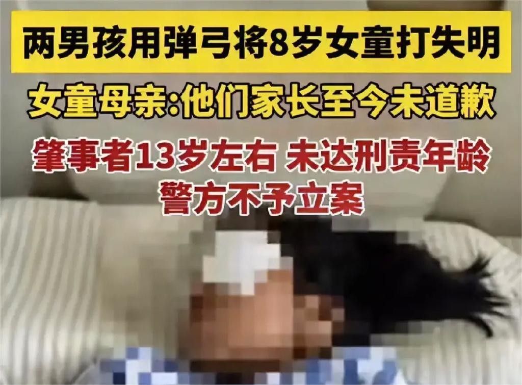 女童遭两少年用弹弓射伤后续,8岁女童被弹弓射伤失明专案组