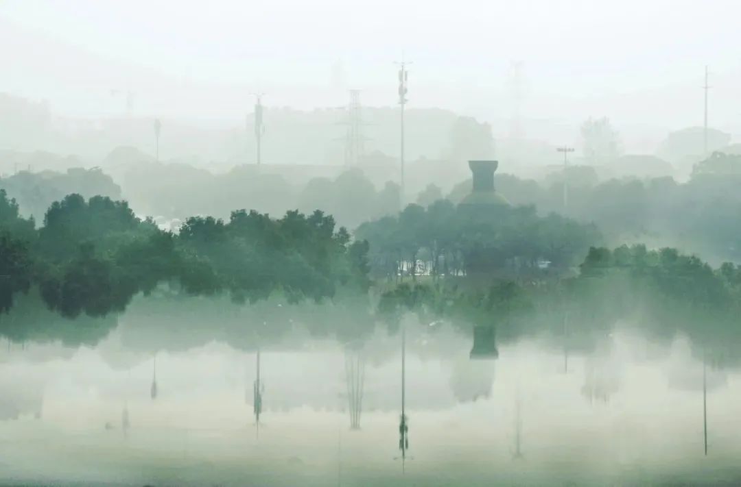 悬念揭晓在即,悬念揭晓视频