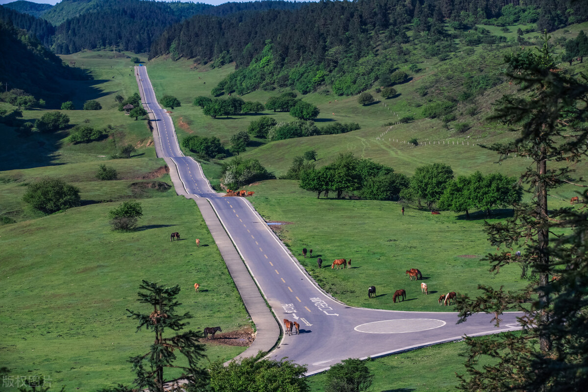 重庆武隆仙女山冬天自驾旅游攻略,仙女山游客中心到仙女山大草原