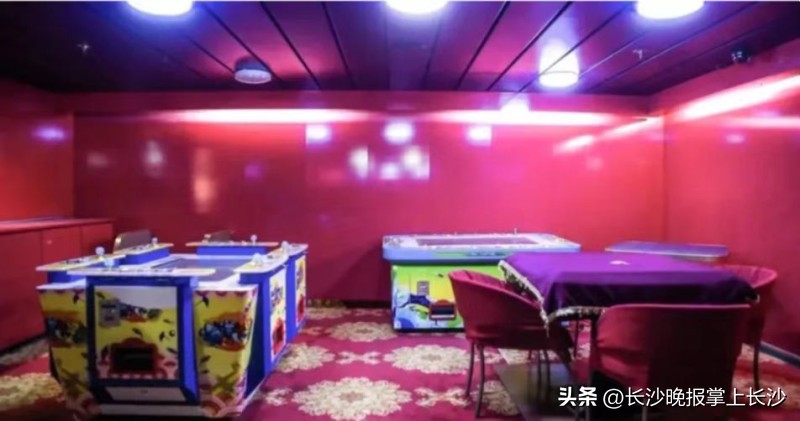 韩国新香雪兰游轮4-6人间,新郁金香号邮轮