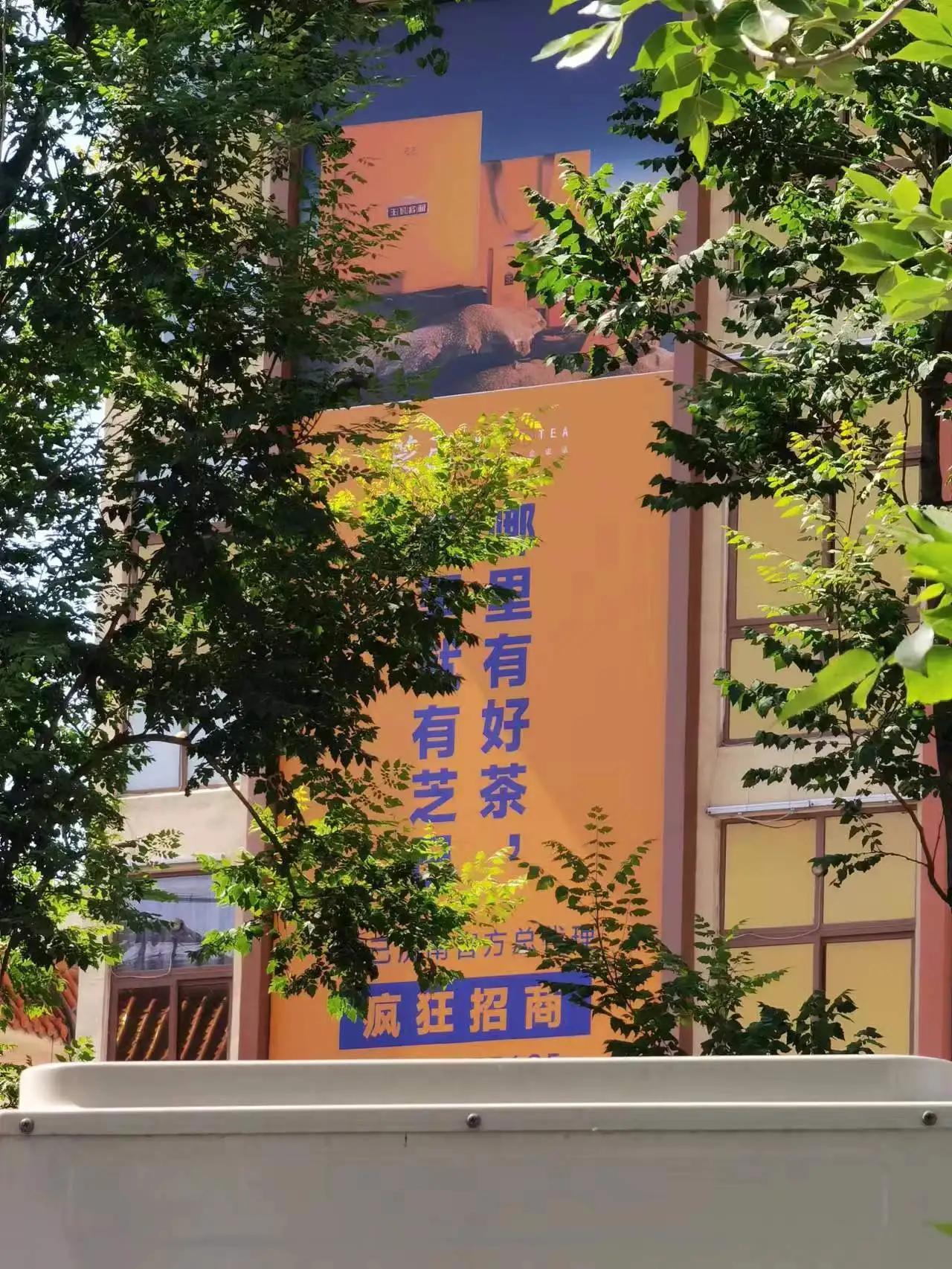 怎么加盟武夷山大红袍品牌,济南茶叶加盟合作哪家安全