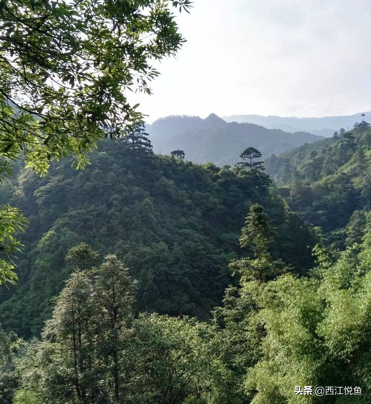 避暑胜地云端,全国四大避暑胜地之一鸡公山