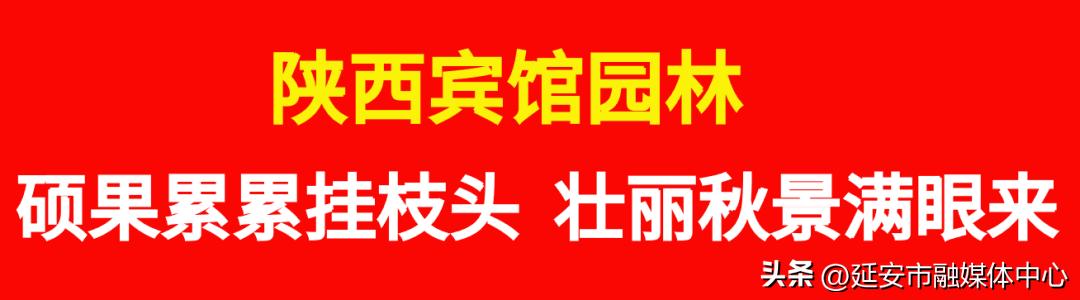 陕西宾馆迎来最佳观花赏景季节,陕西宾馆内景色