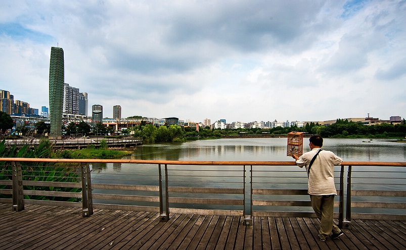 南京免费景点排行榜前十名,南京旅游年卡免费景点一览表