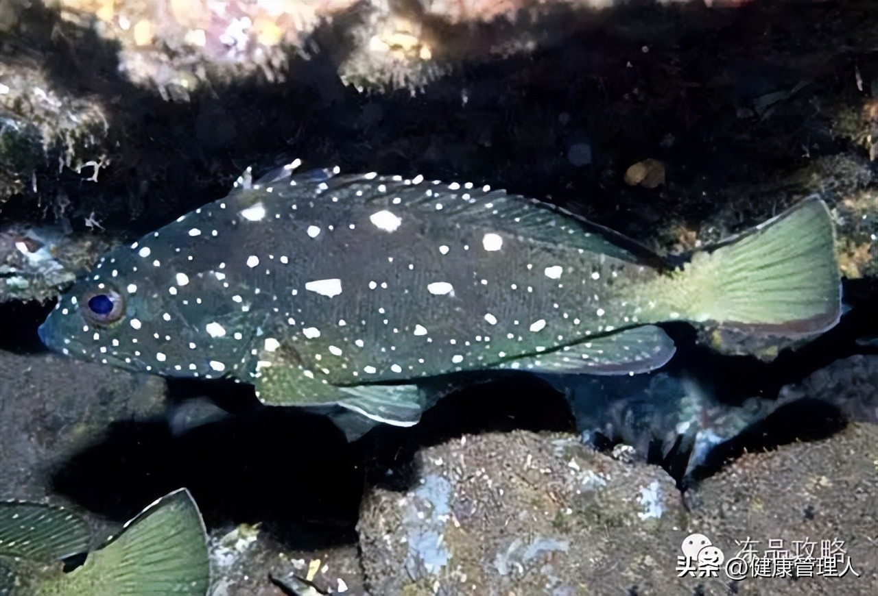 美容护肤食疗方案,美容护肤养生介绍