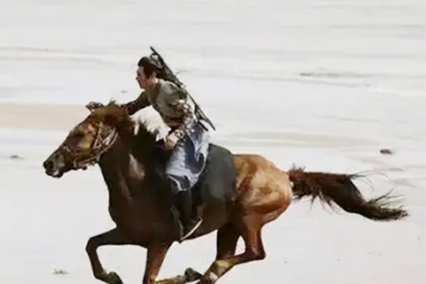 关于陈子昂的诗句,陈子昂论诗