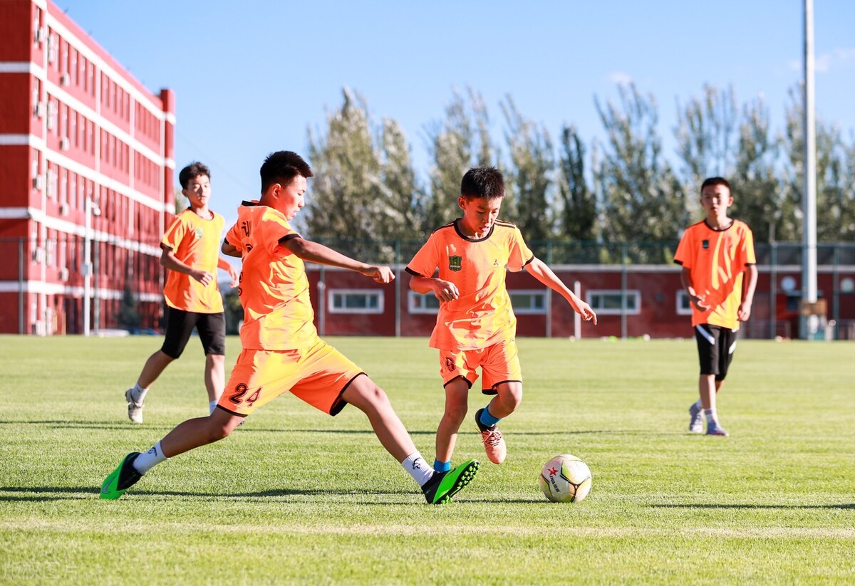 最有可能带领中国足球的人,真正对中国足球有贡献的人