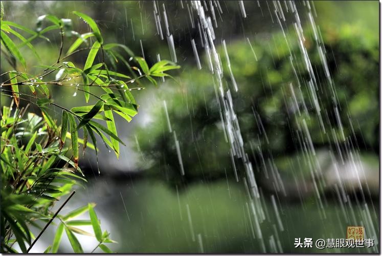 自然现象的古诗词,学生必背古诗词41到60句