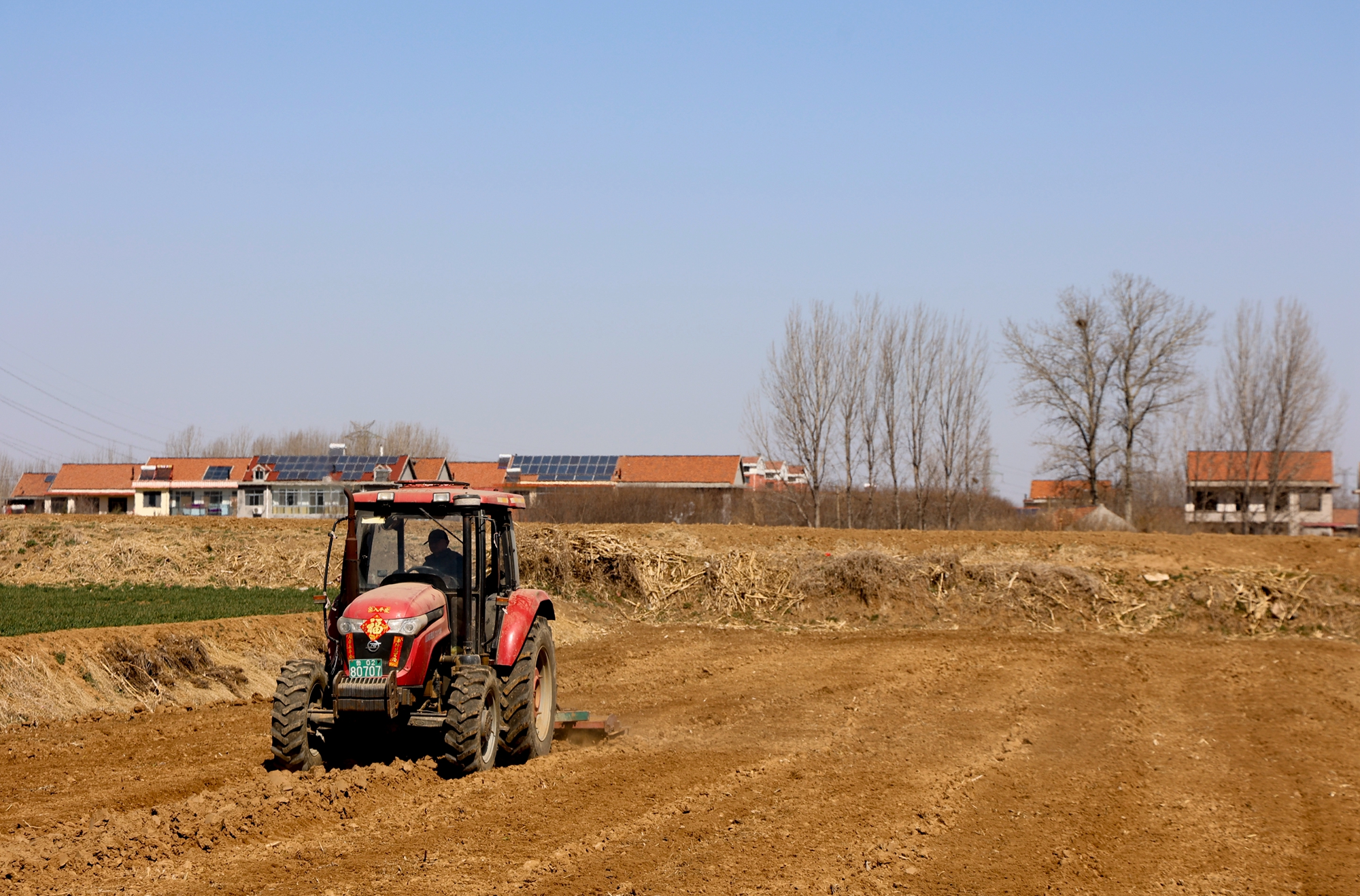 “云”上摄影展丨《徐村*光春**美人勤春来早》