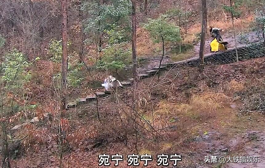 张雪迎舒畅董鄂妃,孝庄秘史董鄂妃舒畅和霍思燕