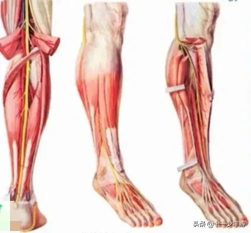 周围神经病和外周神经病,周围神经病