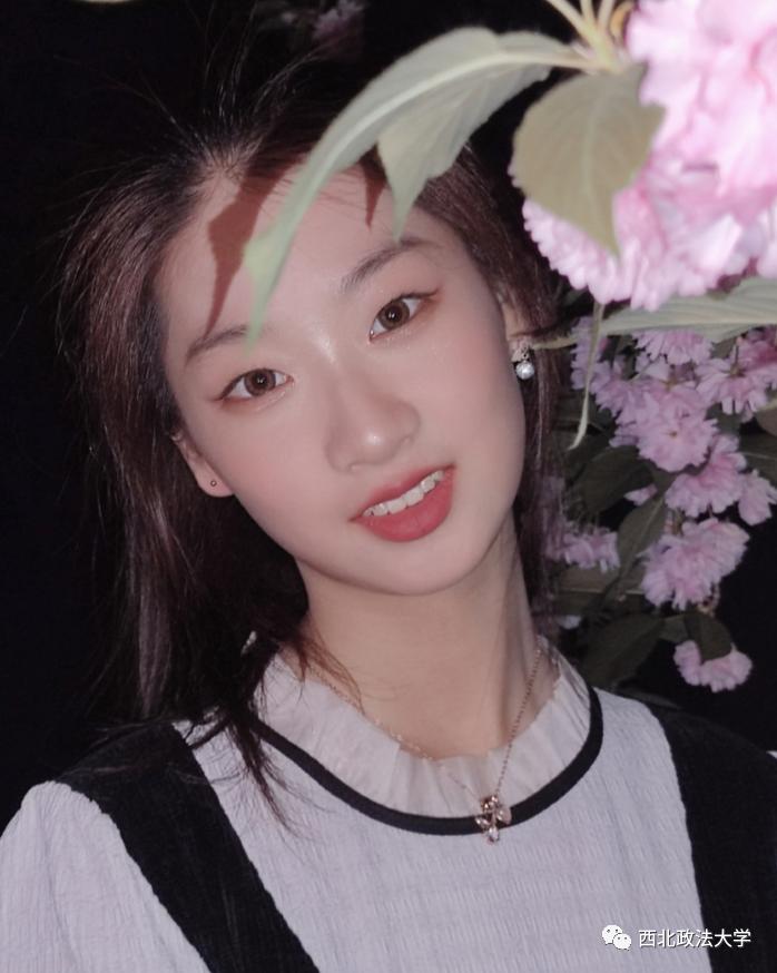 西法大到底是什么,西法大是什么意思网络用语