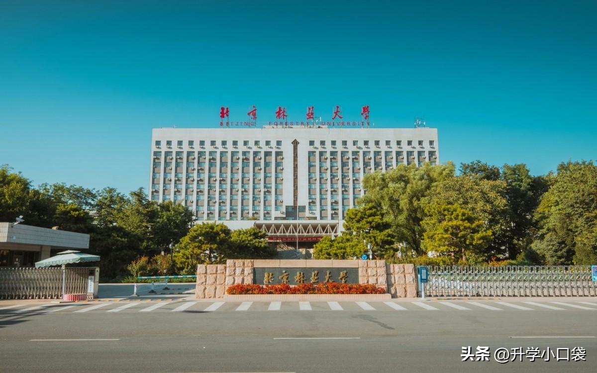 北京林业大学十强专业,中国林科院在林业大学中的排名