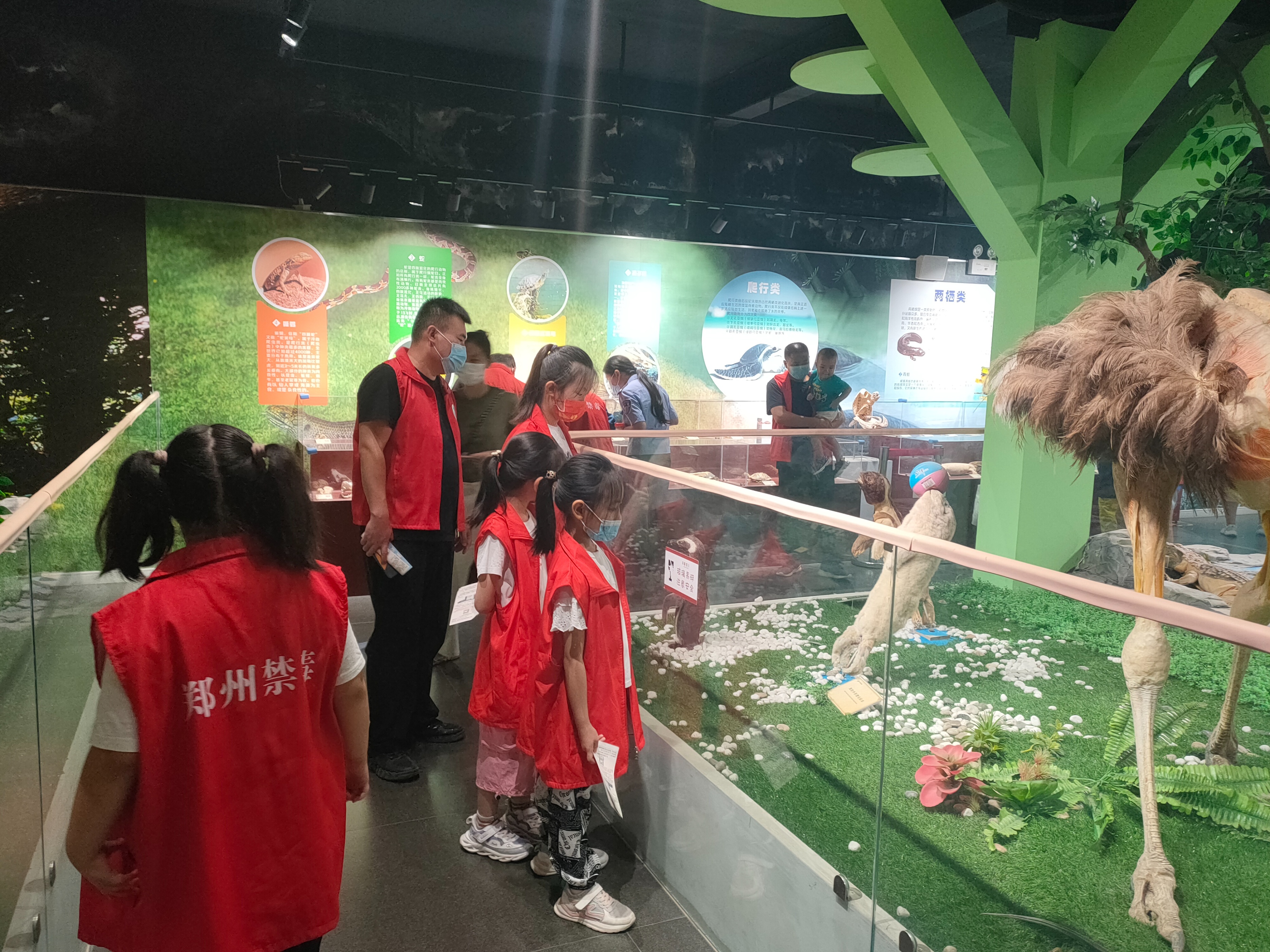 郑州博物馆讲解,郑州大鲵科普展馆