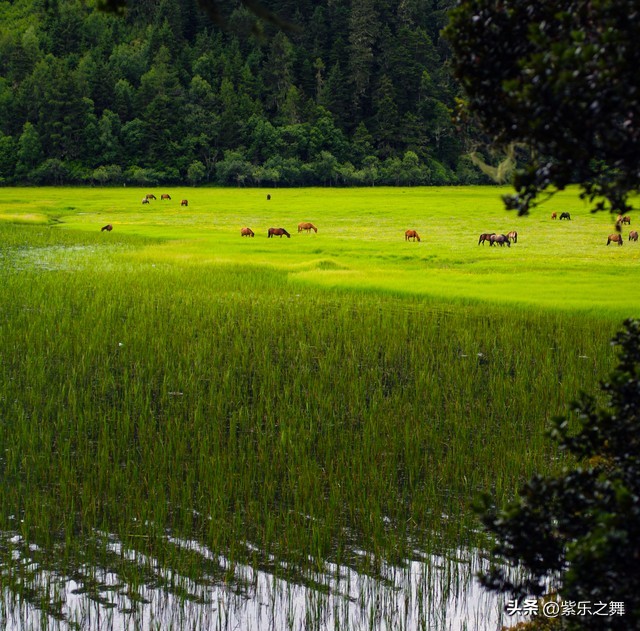 球状闪电莫言讲的是什么,莫言球状闪电想表达什么