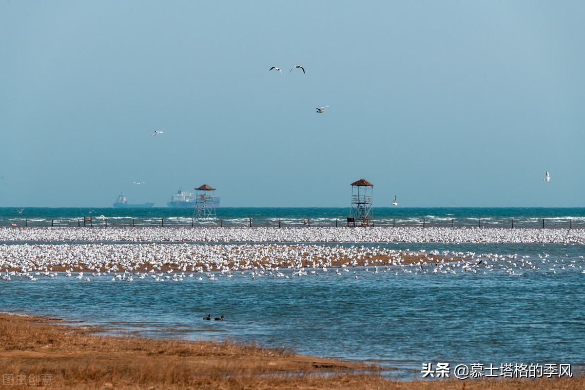 国内海边的养老胜地,适合养老的海滨小城