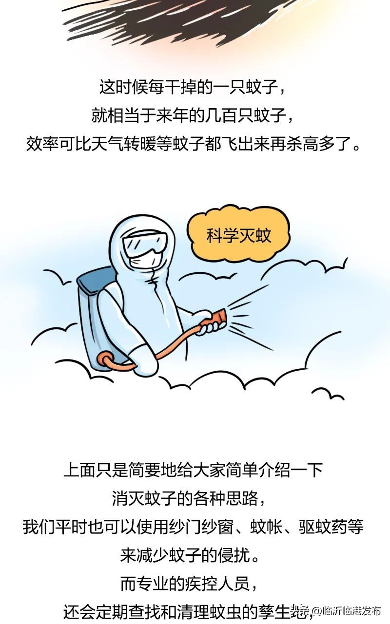 为什么不将蚊子赶尽杀绝,彻底绝杀蚊子的妙招