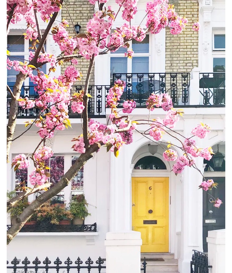 伦敦3月樱花,伦敦樱花季