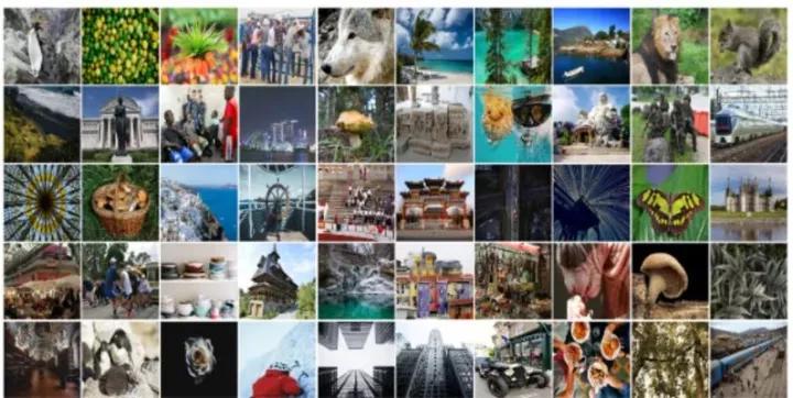 目标检测数据集采集,目标检测图像数据集